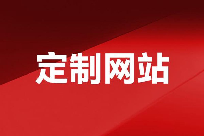 沈阳软件开发:本土企业与国际巨头的较量